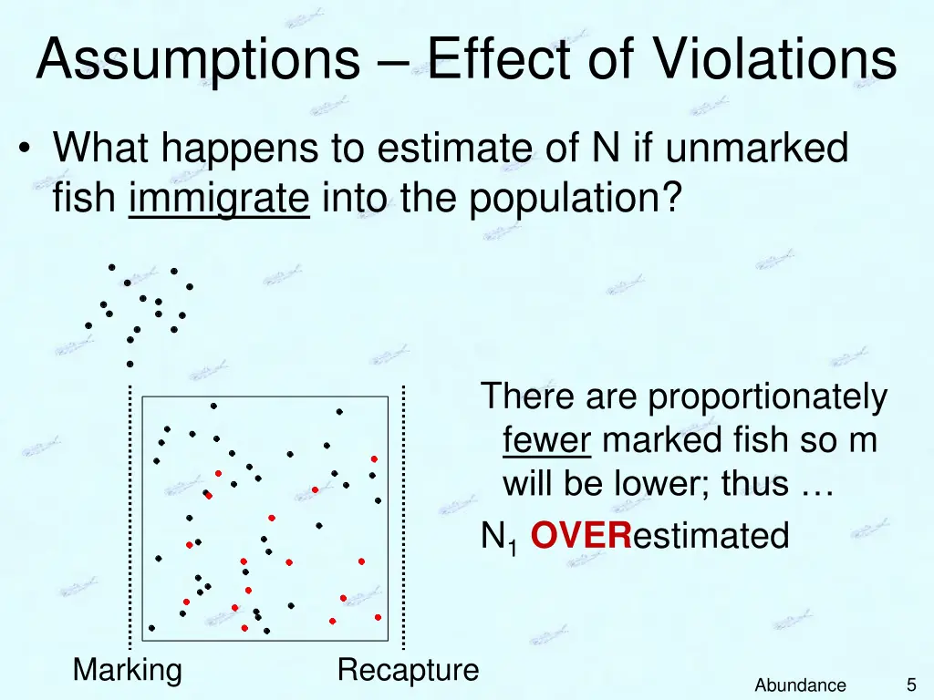 assumptions effect of violations 2