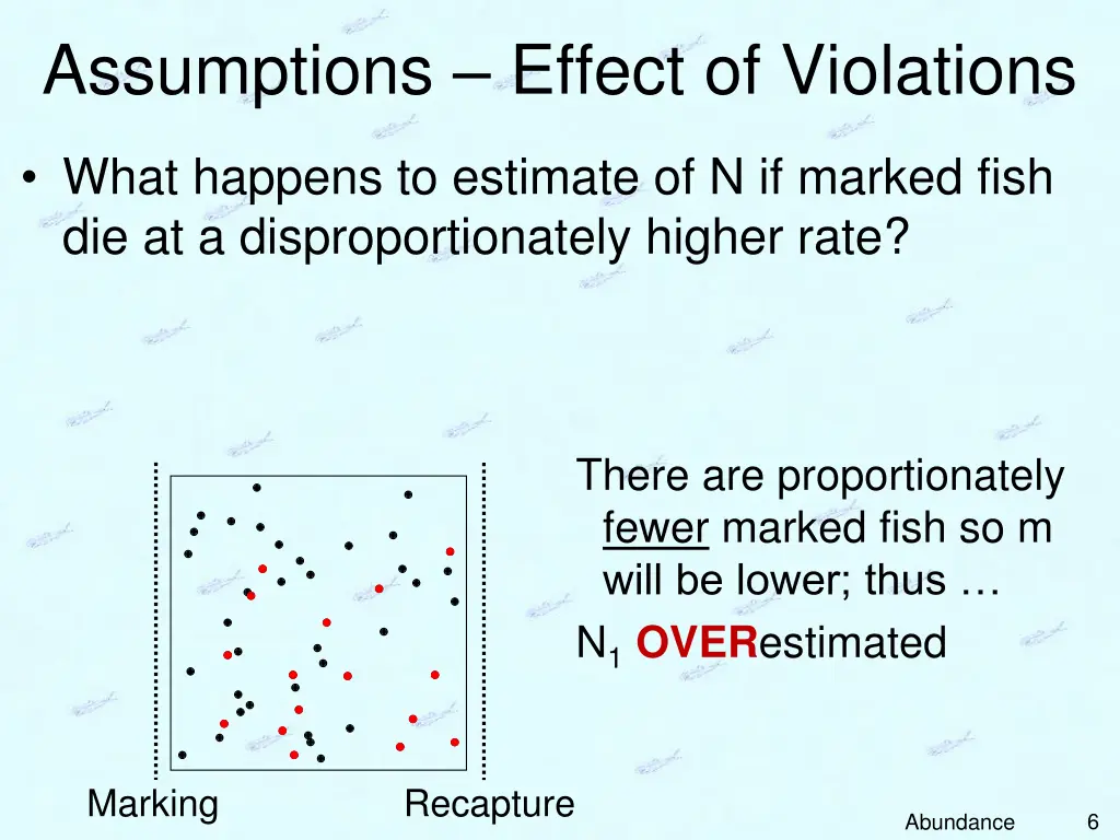 assumptions effect of violations 3