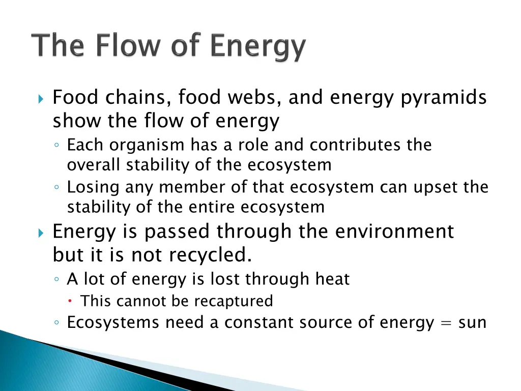 food chains food webs and energy pyramids show