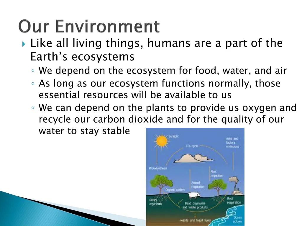 like all living things humans are a part
