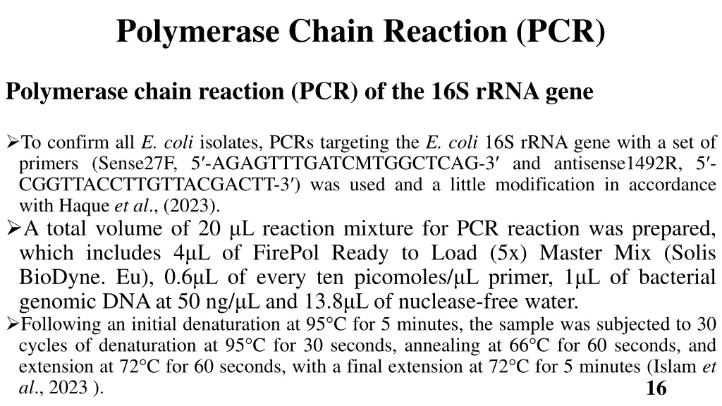 polymerase chain reaction pcr