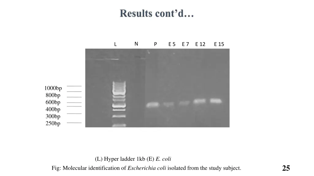 slide25