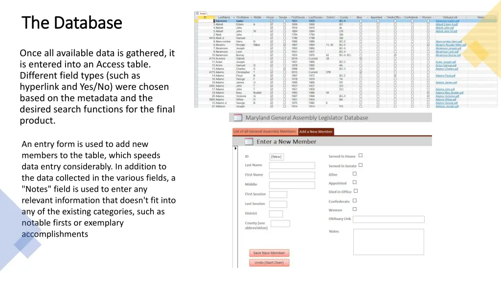 the database the database