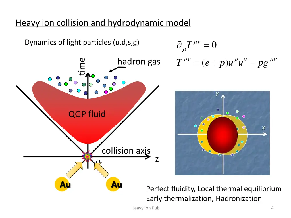 heavy ion collision and hydrodynamic model