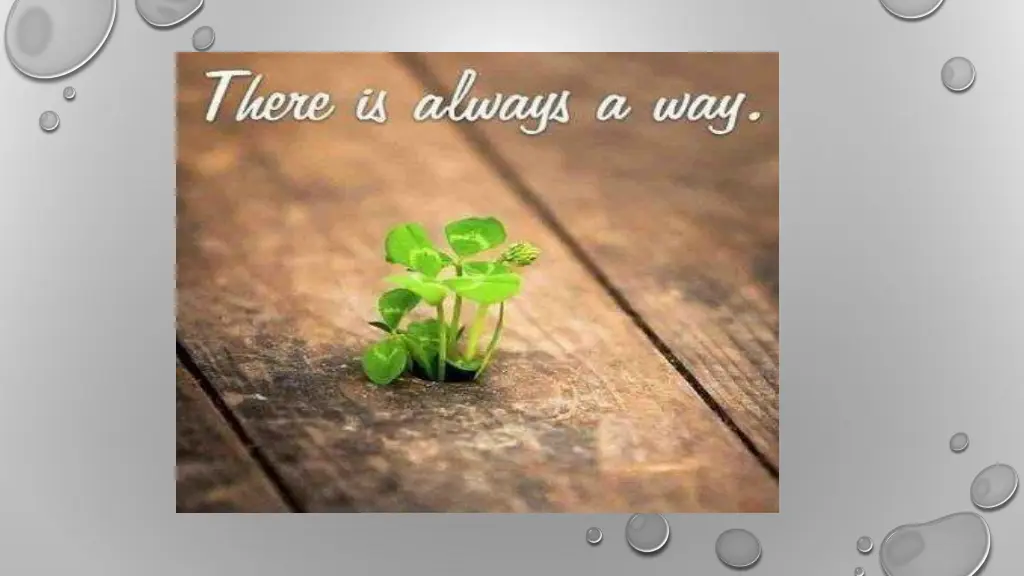 slide12