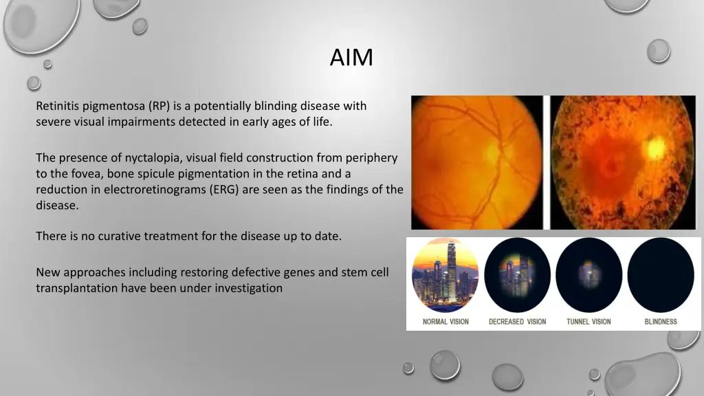 slide2