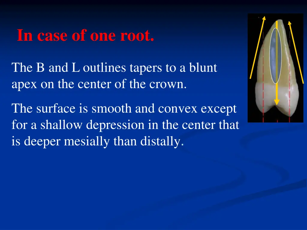 in case of one root