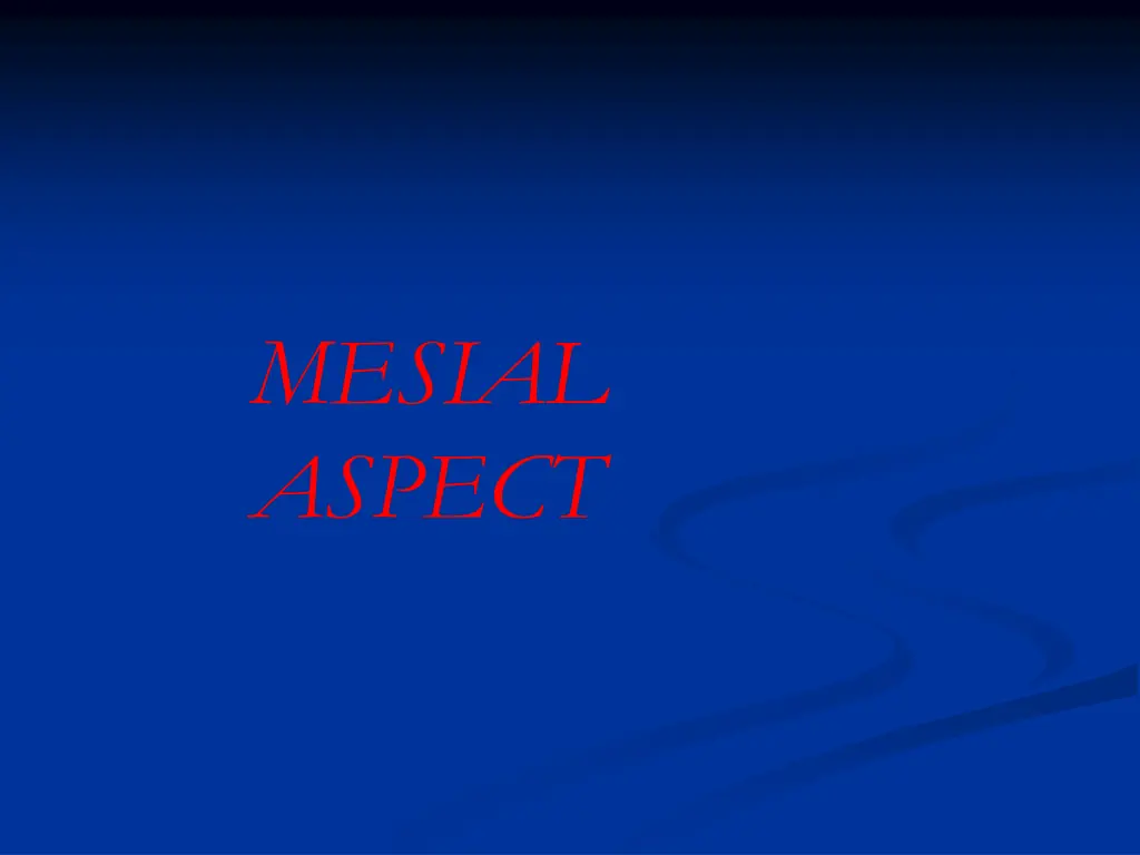 mesial aspect