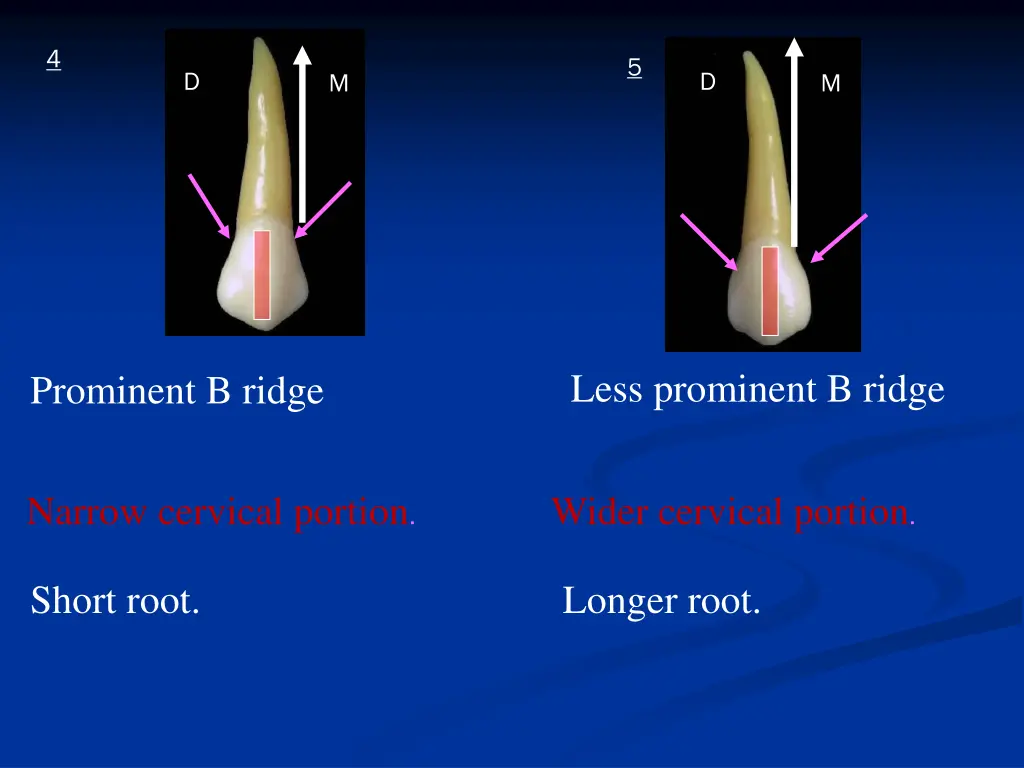 slide37