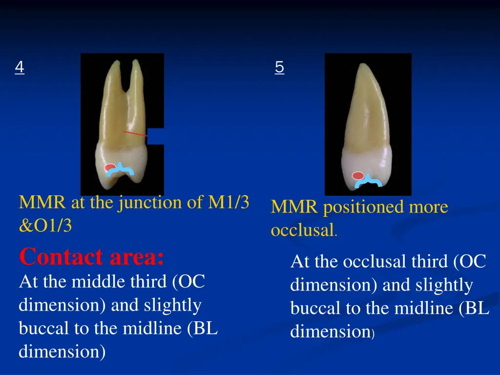 slide40