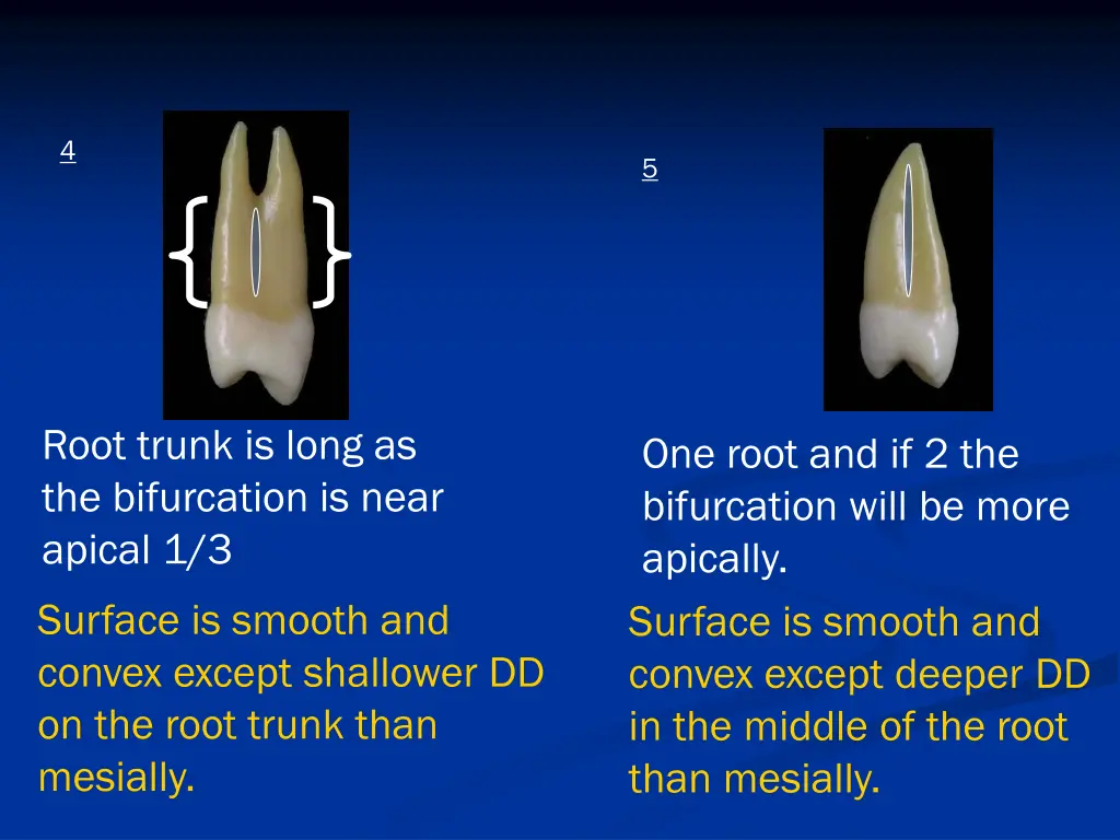 slide42