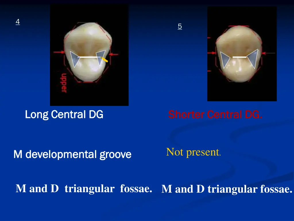 slide44