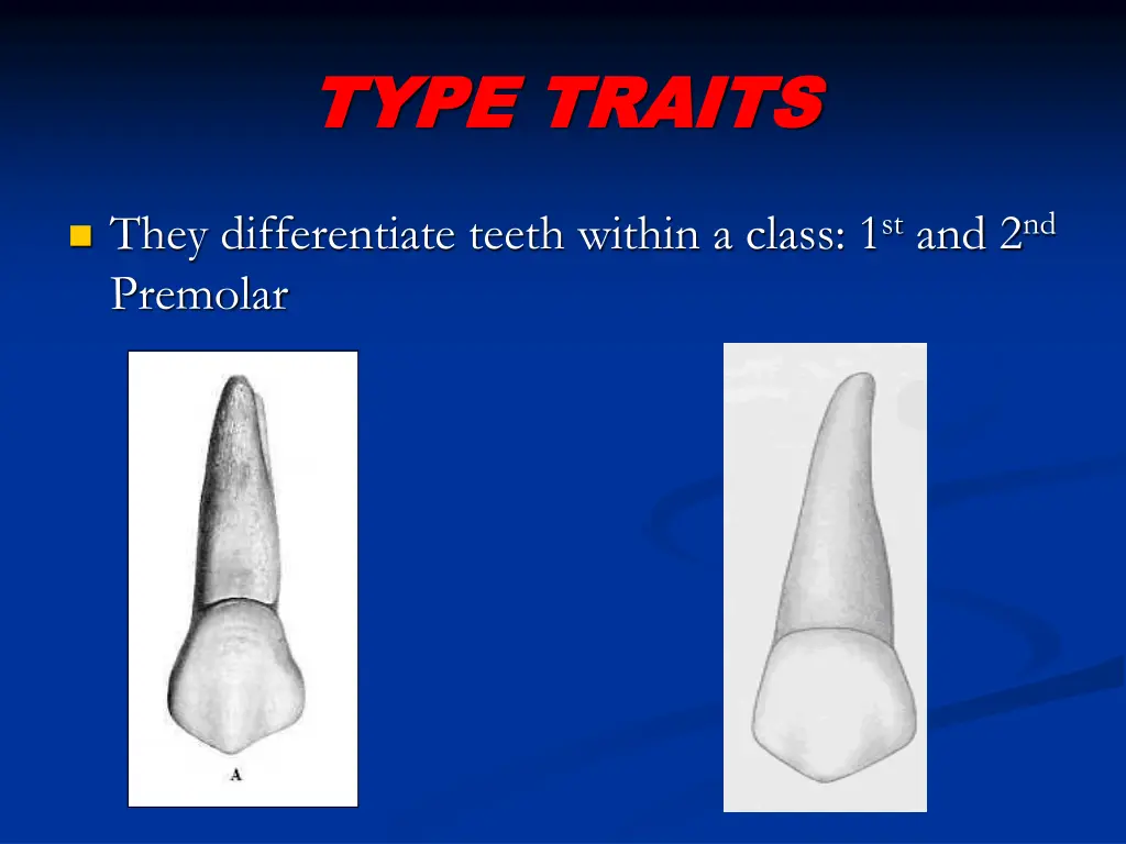 type traits type traits