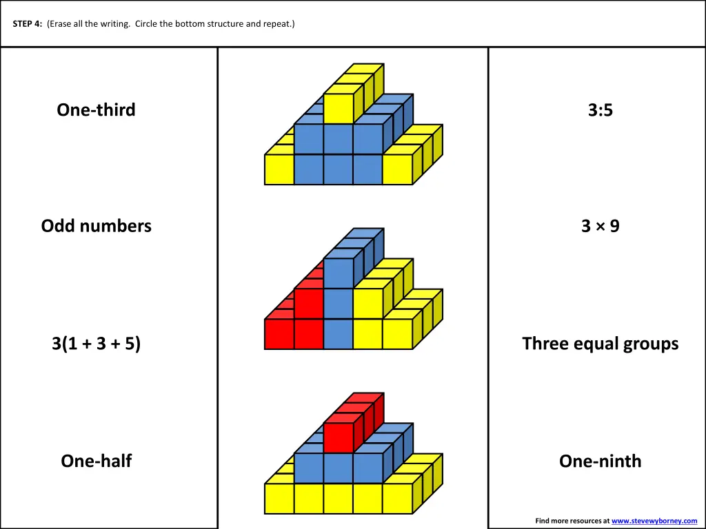 step 4 circle the top structure which 2