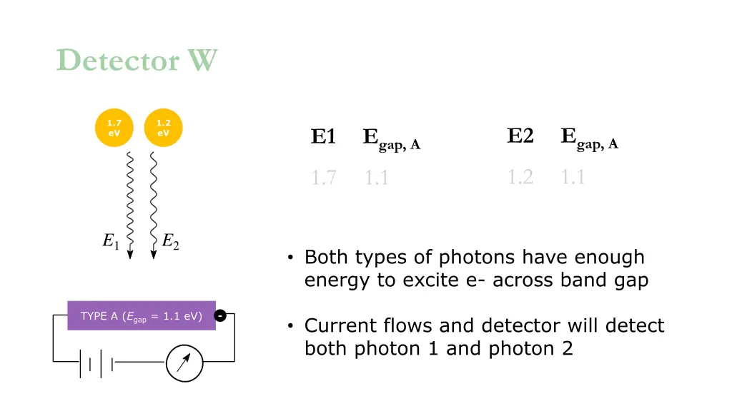 detector w
