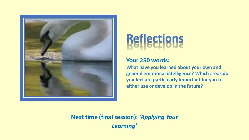 reflections