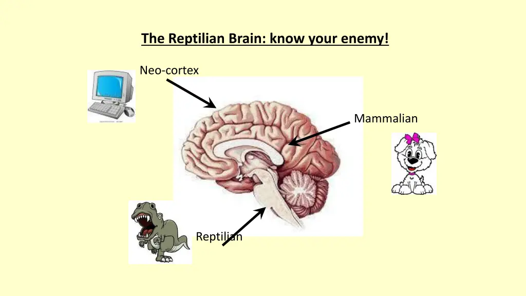 the reptilian brain know your enemy