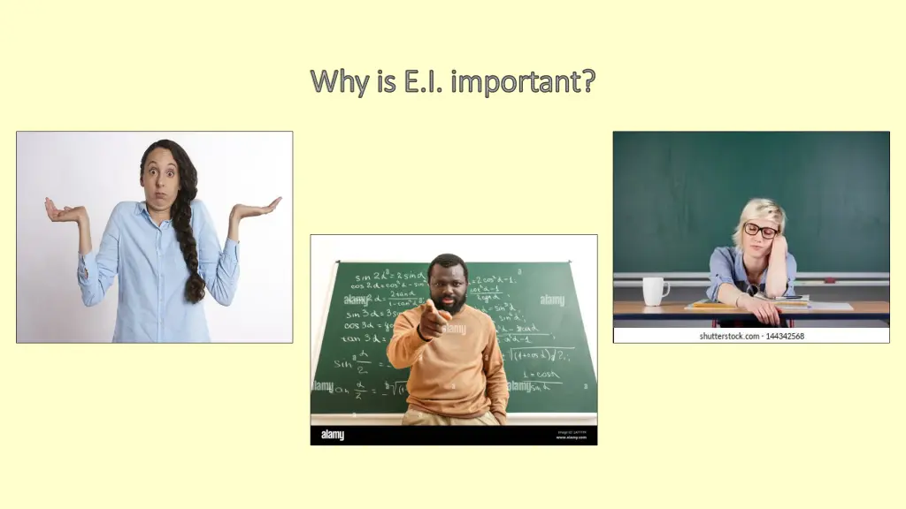 why is e i important why is e i important