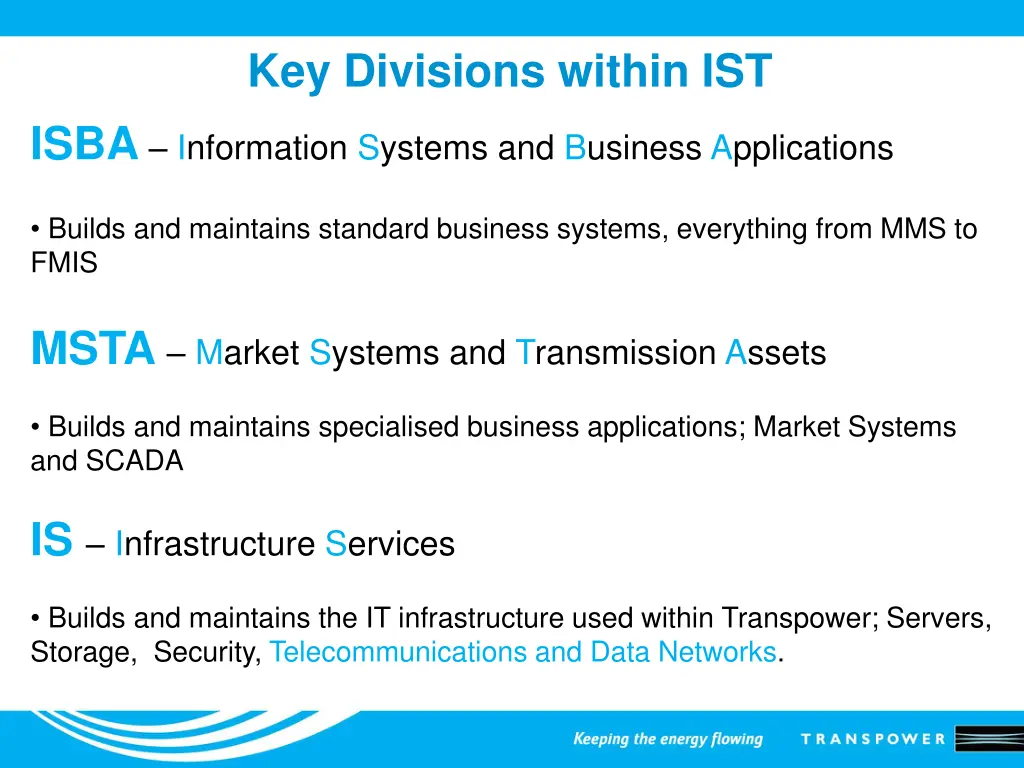 key divisions within ist isba information systems