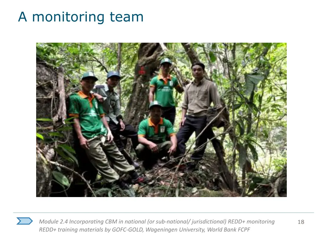 a monitoring team