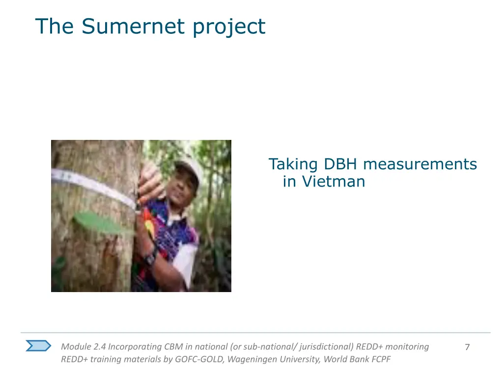 the sumernet project 3