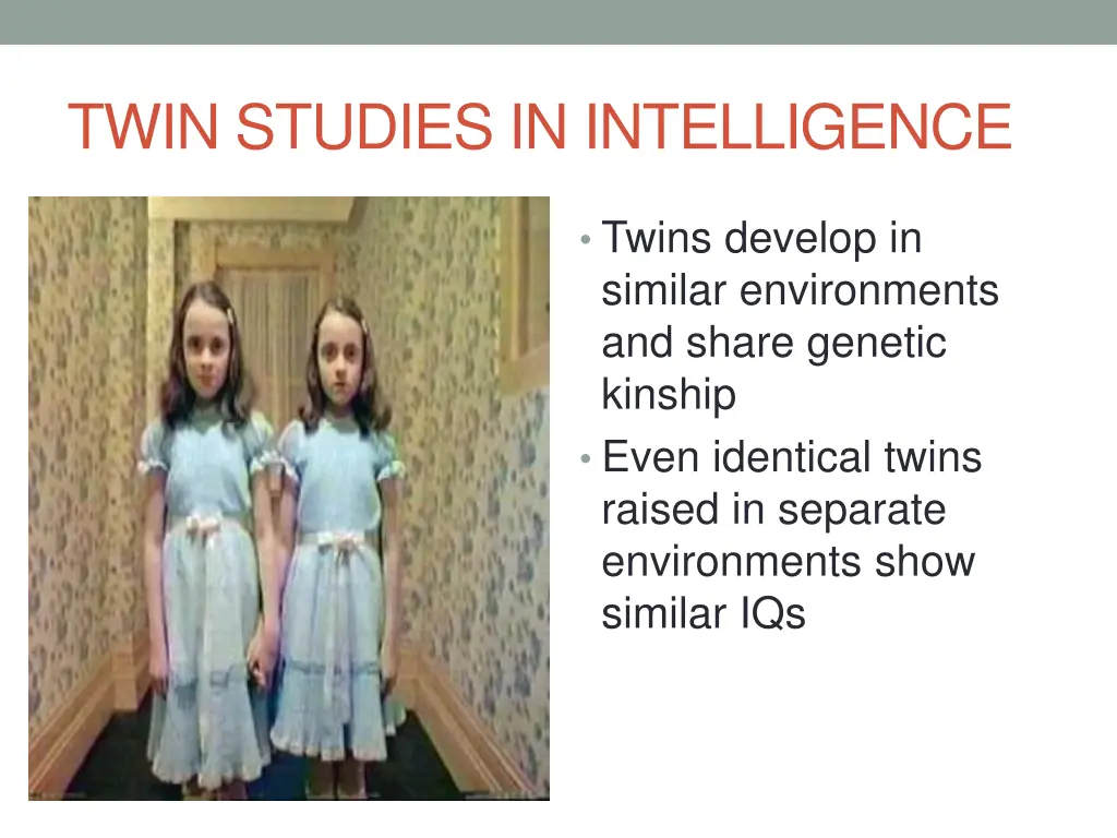 twin studies in intelligence