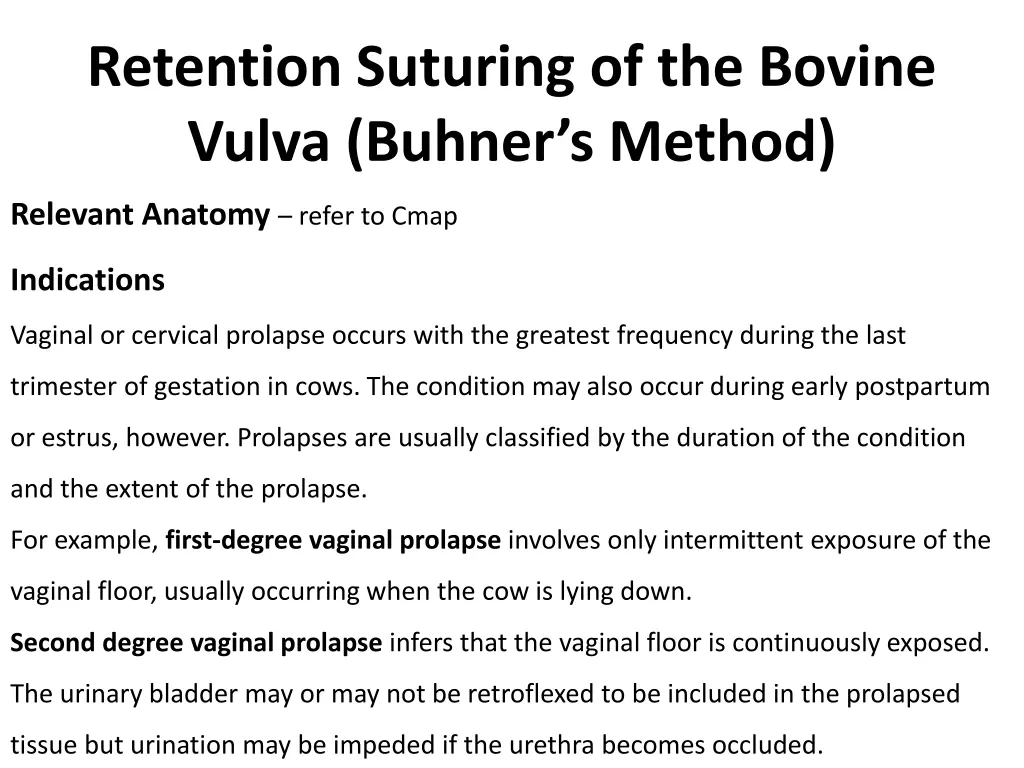 retention suturing of the bovine vulva buhner
