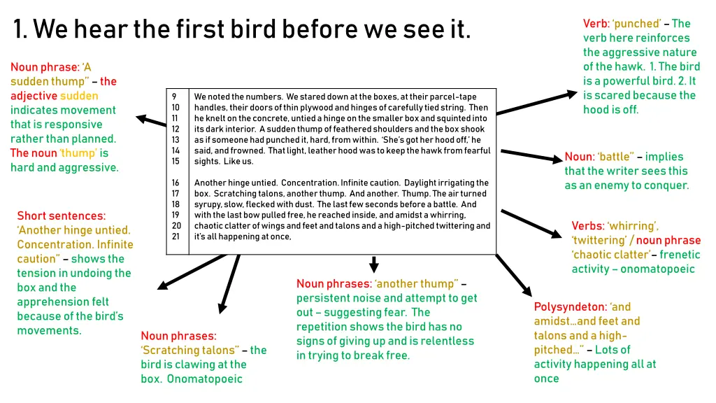 1 we hear the first bird before we see it