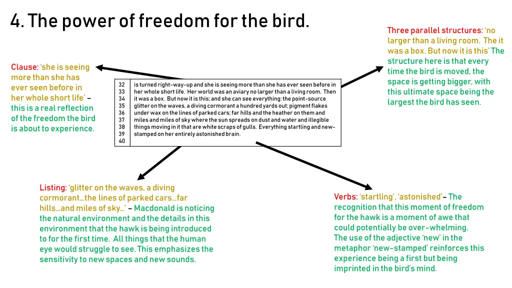 4 the power of freedom for the bird