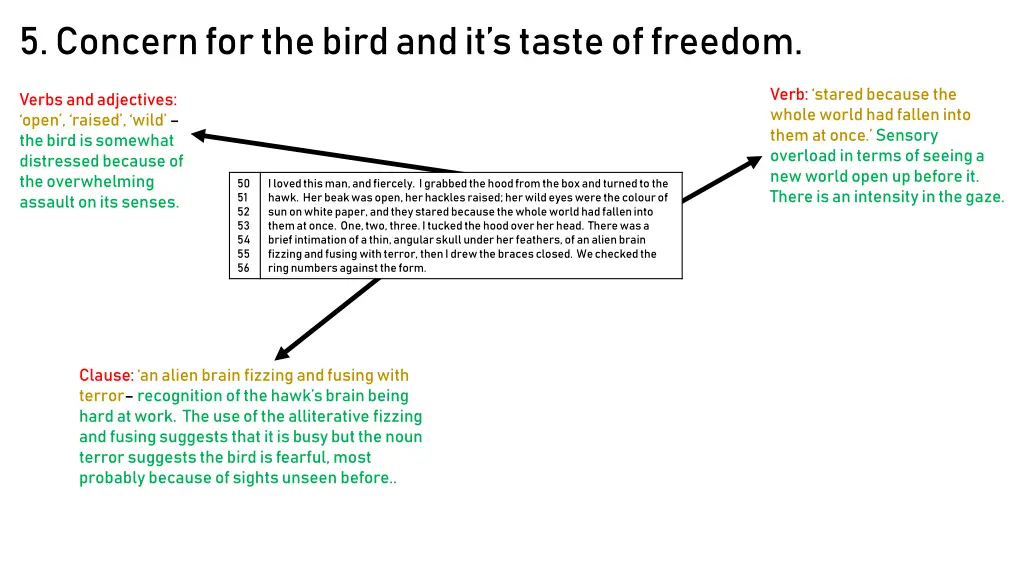 5 concern for the bird and it s taste of freedom 1