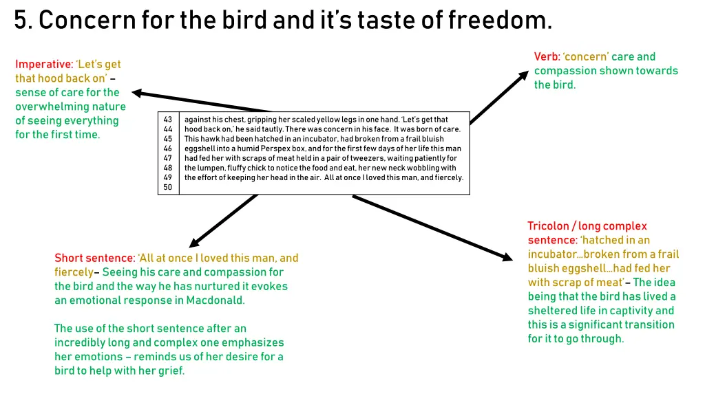 5 concern for the bird and it s taste of freedom