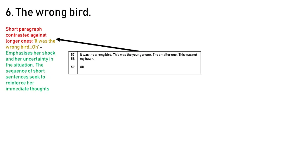 6 the wrong bird