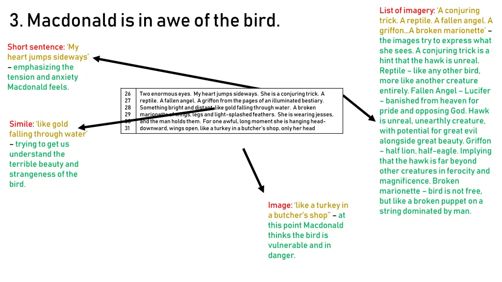 list of imagery a conjuring trick a reptile