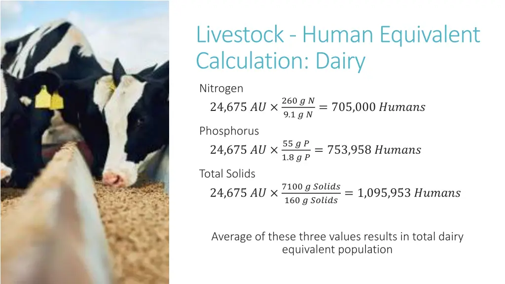 livestock human equivalent calculation dairy