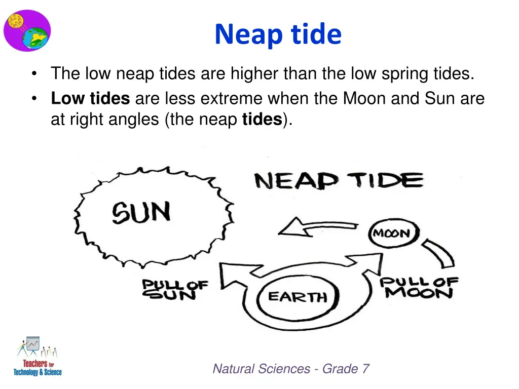 neap tide 1