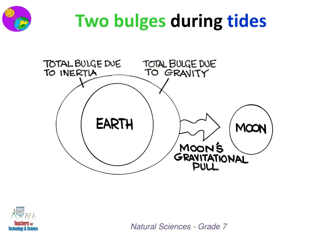 two bulges during tides