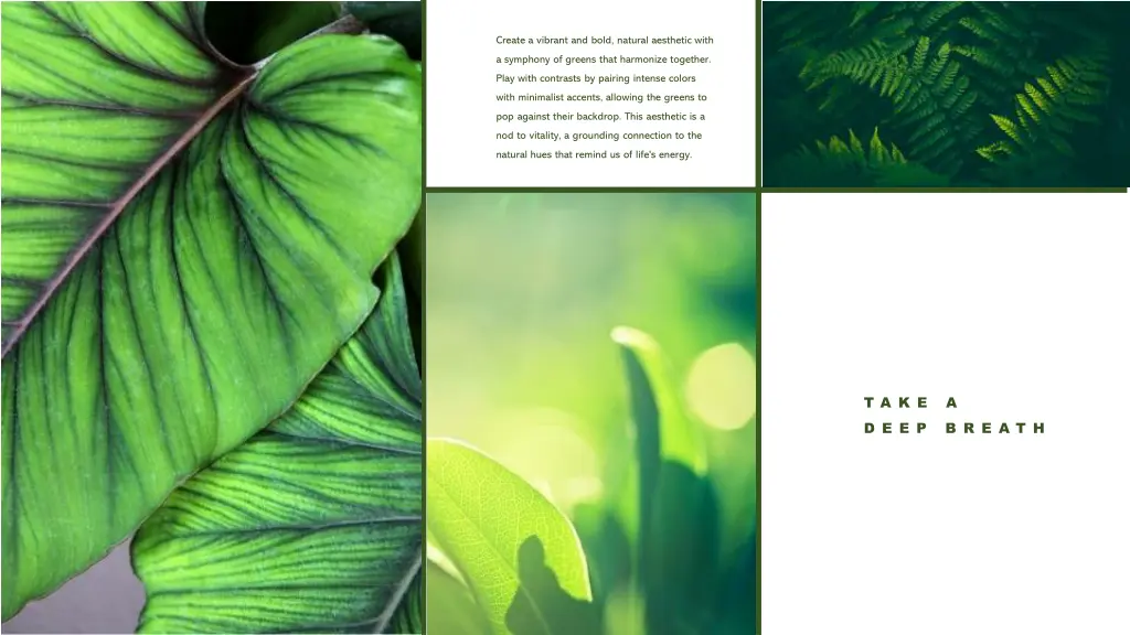 create a vibrant and bold natural aesthetic with