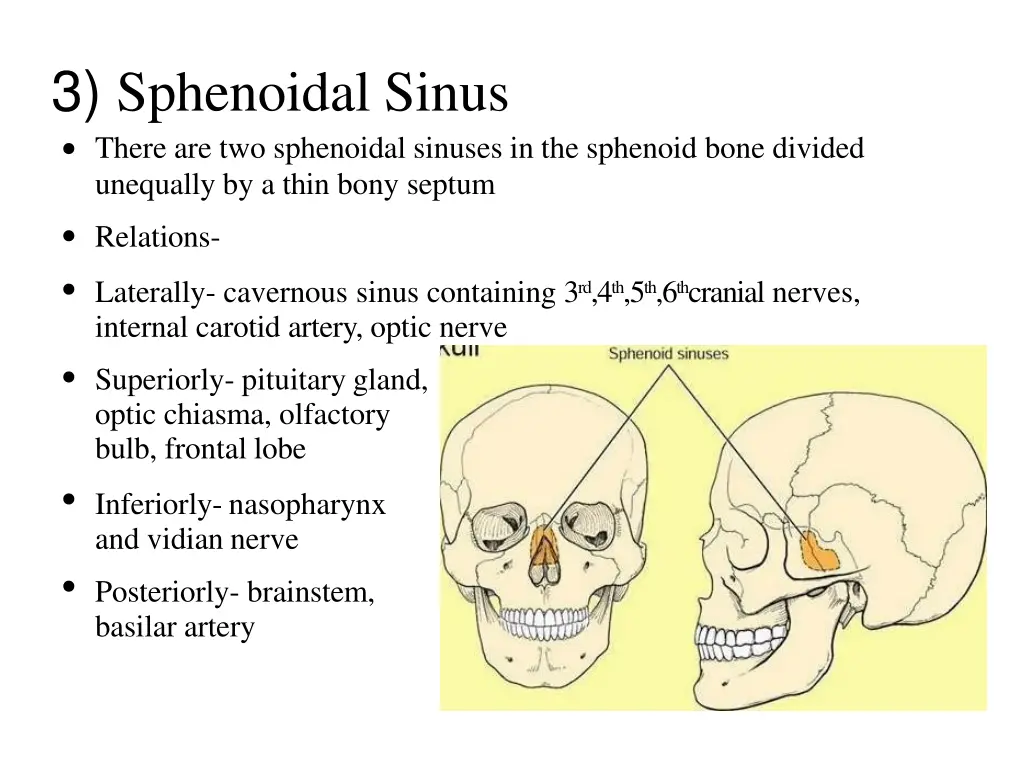 3 sphenoidal sinus there are two sphenoidal