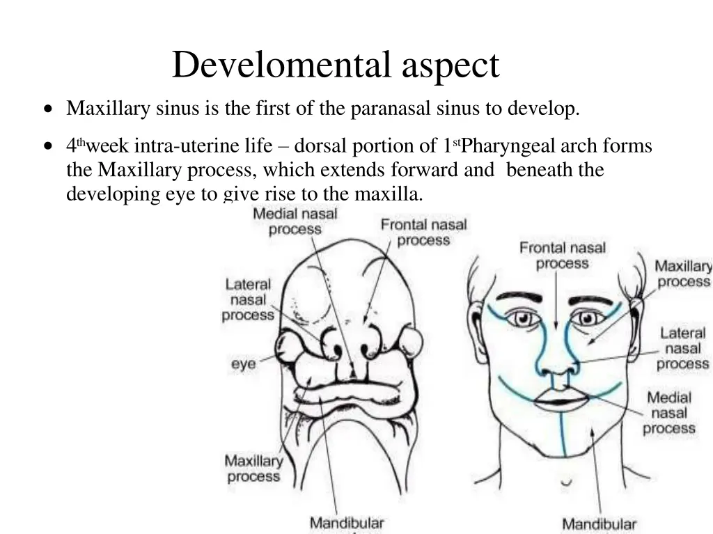develomental aspect