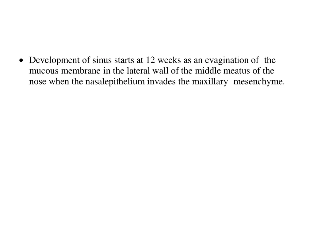 development of sinus starts at 12 weeks
