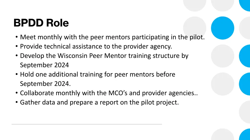 bpdd role meet monthly with the peer mentors