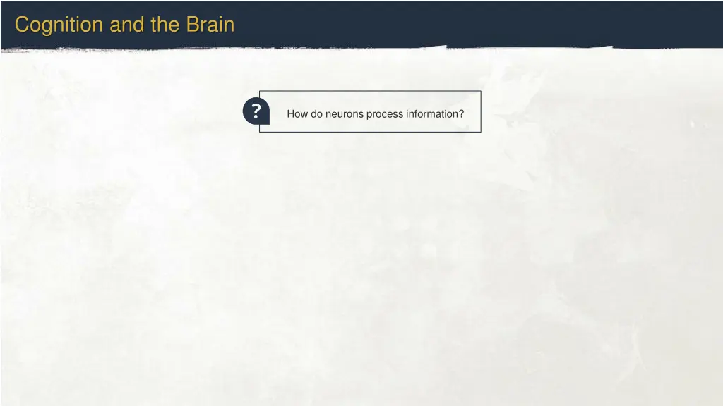 cognition and the brain