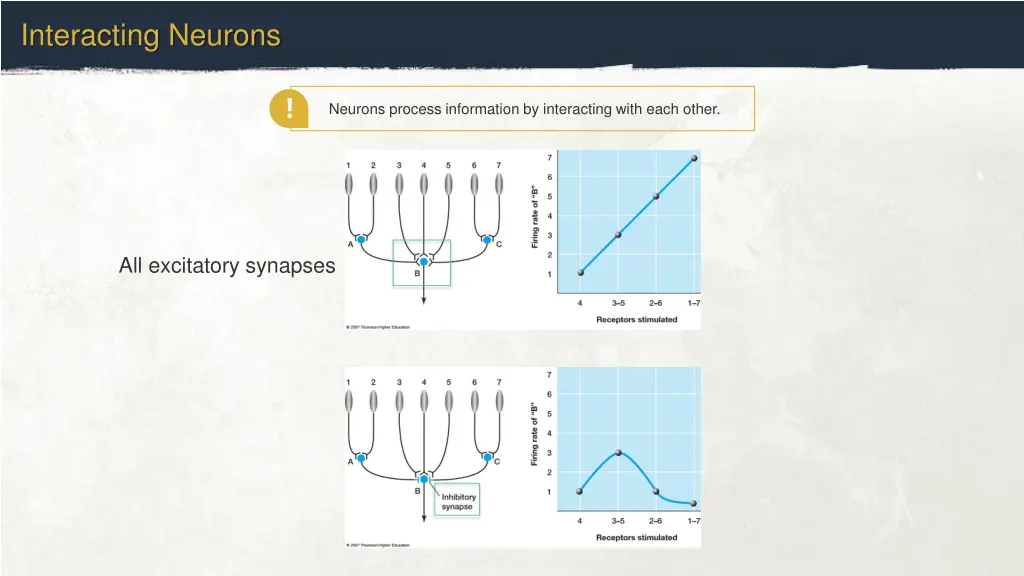 interacting neurons
