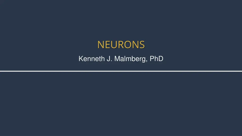 neurons