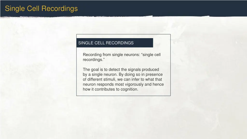 single cell recordings