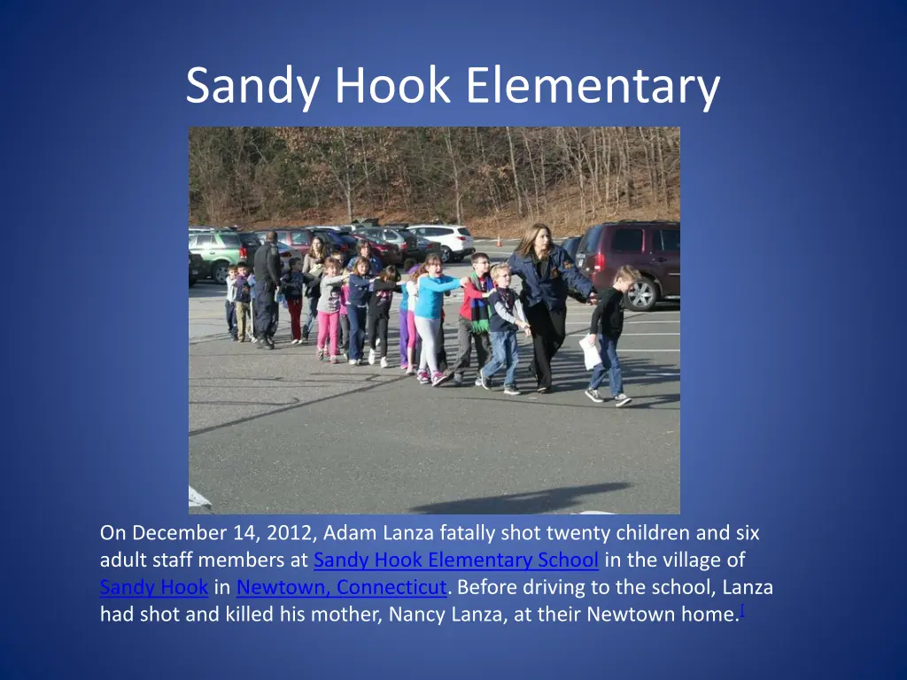 sandy hook elementary