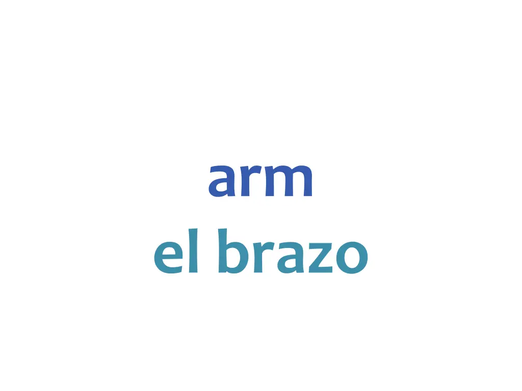 arm el brazo