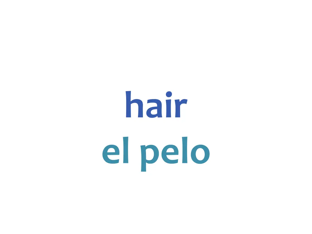 hair el pelo