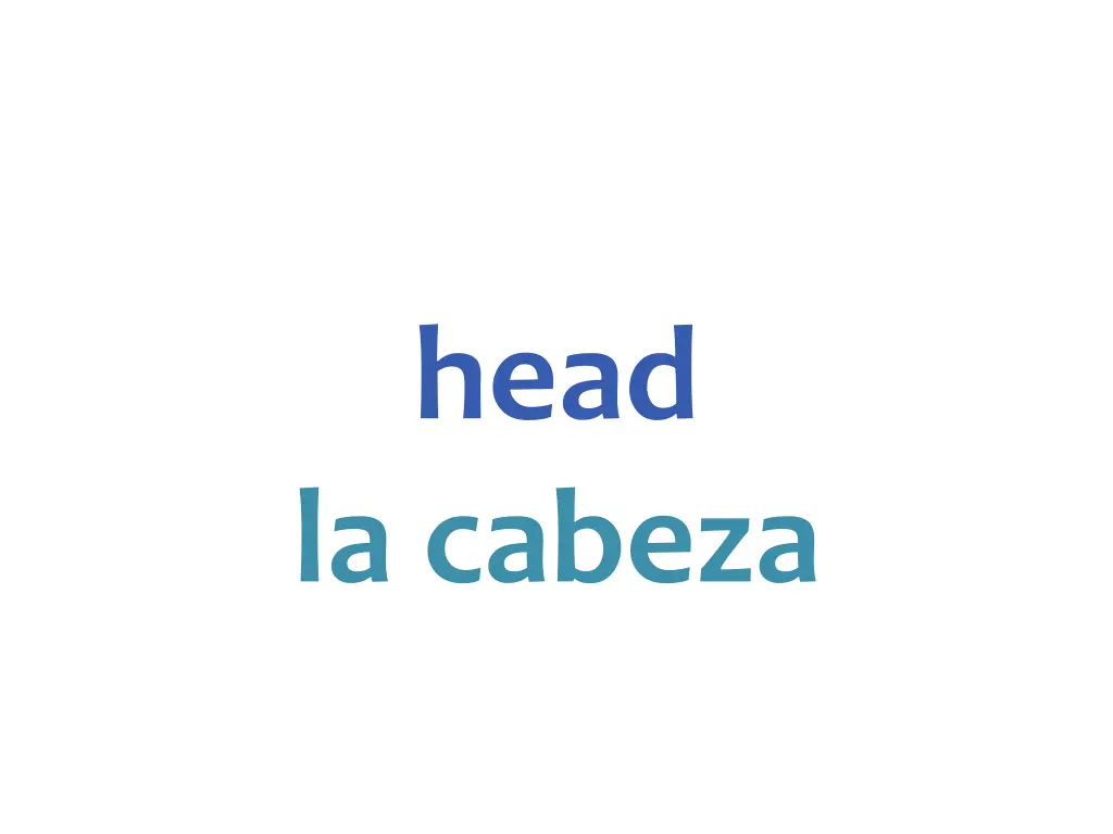 head la cabeza