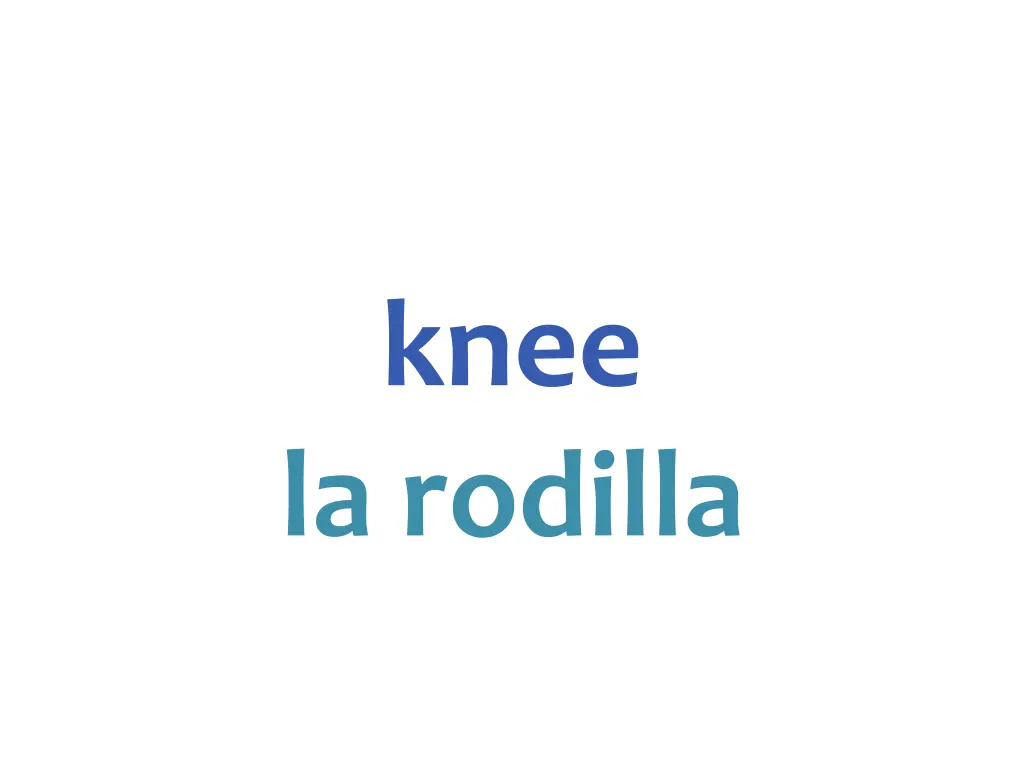 knee la rodilla